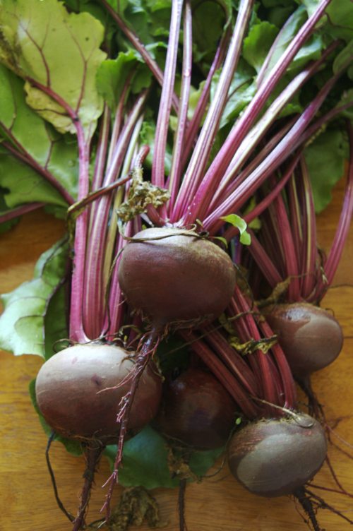 Arugula and beet salad