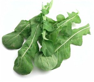 Rau Arugula